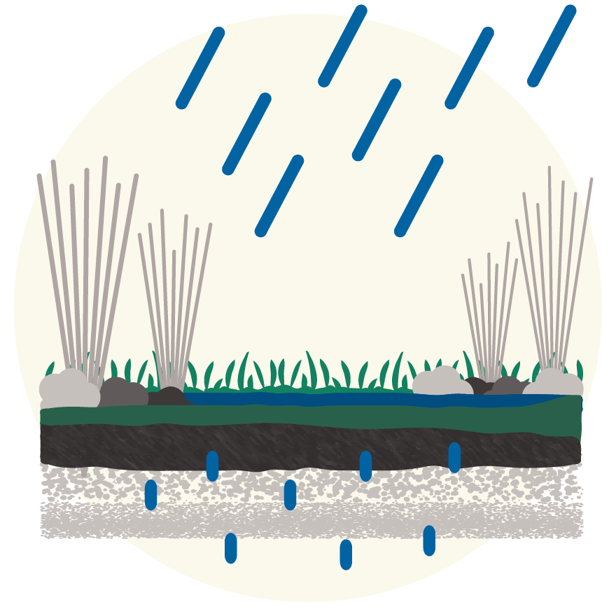 Rainfall is filtered through plant life and permeable soil