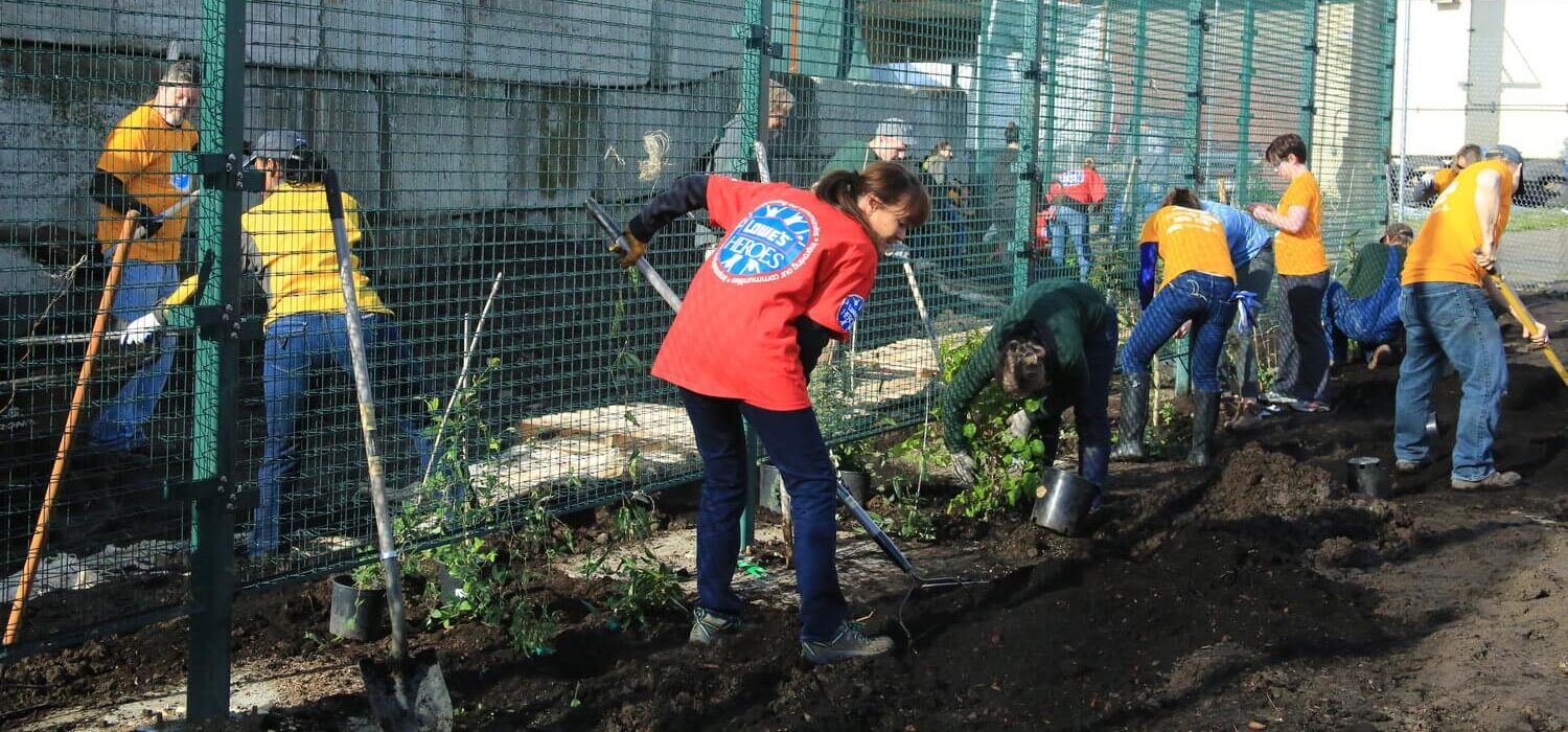 Joining Forces to Create a Green Wall